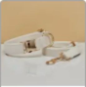 Multiple Colour Velvet Personalise Dog Collar Leash Set With Bow (Option: White set-L)