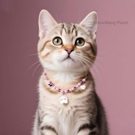 Uxury Adjustable Pet Collar Minimalist Durable Necklace Style For Cats Small Medium Dogs Luxury Gift (Option: M)